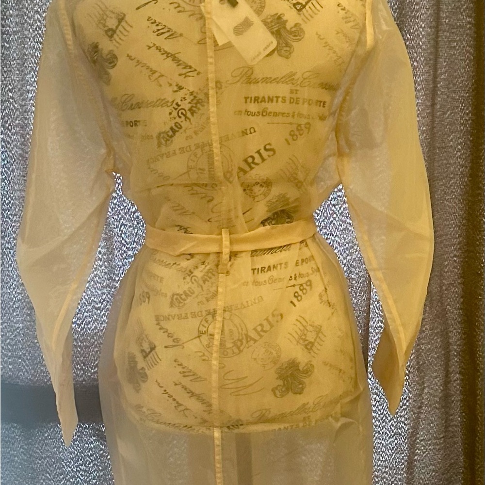Sheer Organza Cream Trench Coat | Ethereal Layering Essential - Picture 5 of 5